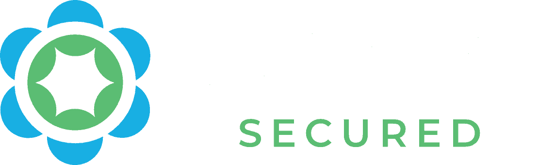 veriPAYE secured logo